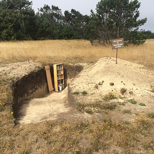 A library bookcase in the bottom of an angled hole dug into a field.