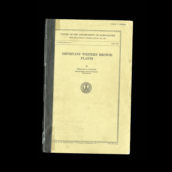 An image of a book.
